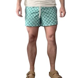 Pacsun Men’s 4” Pattern Swim Trunk Size Small New Green Lined